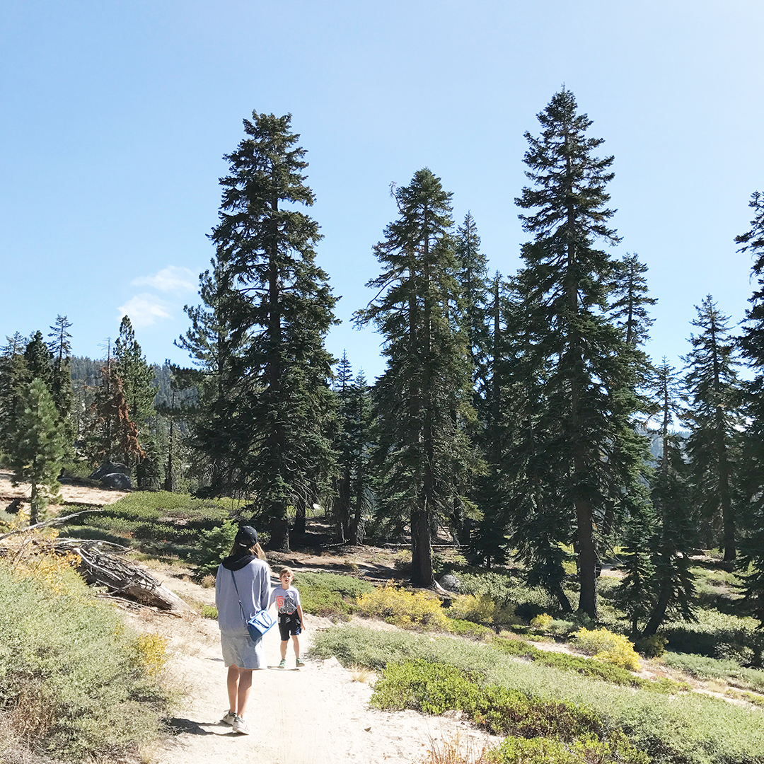 picturesque hiking trails lake tahoe