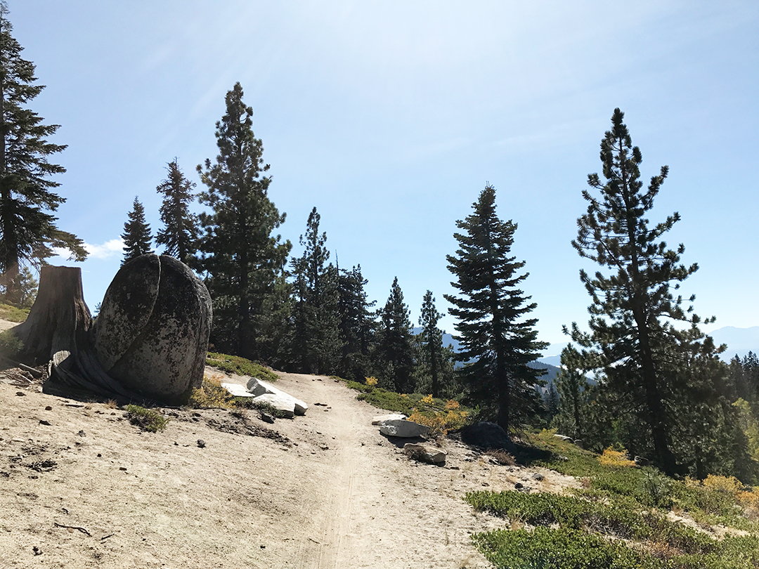 hiking trails kids lake tahoe