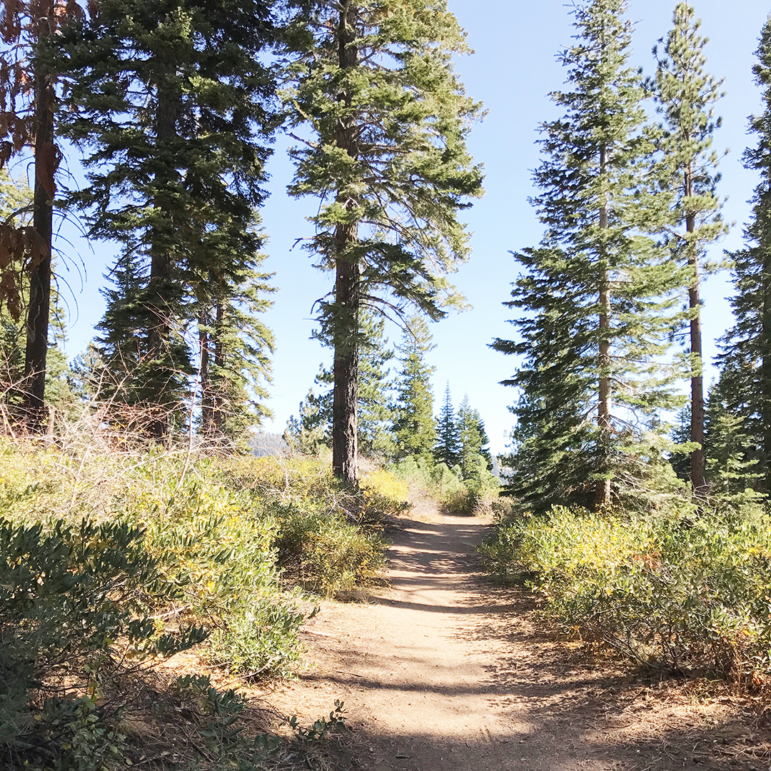 entrance incline flume trail