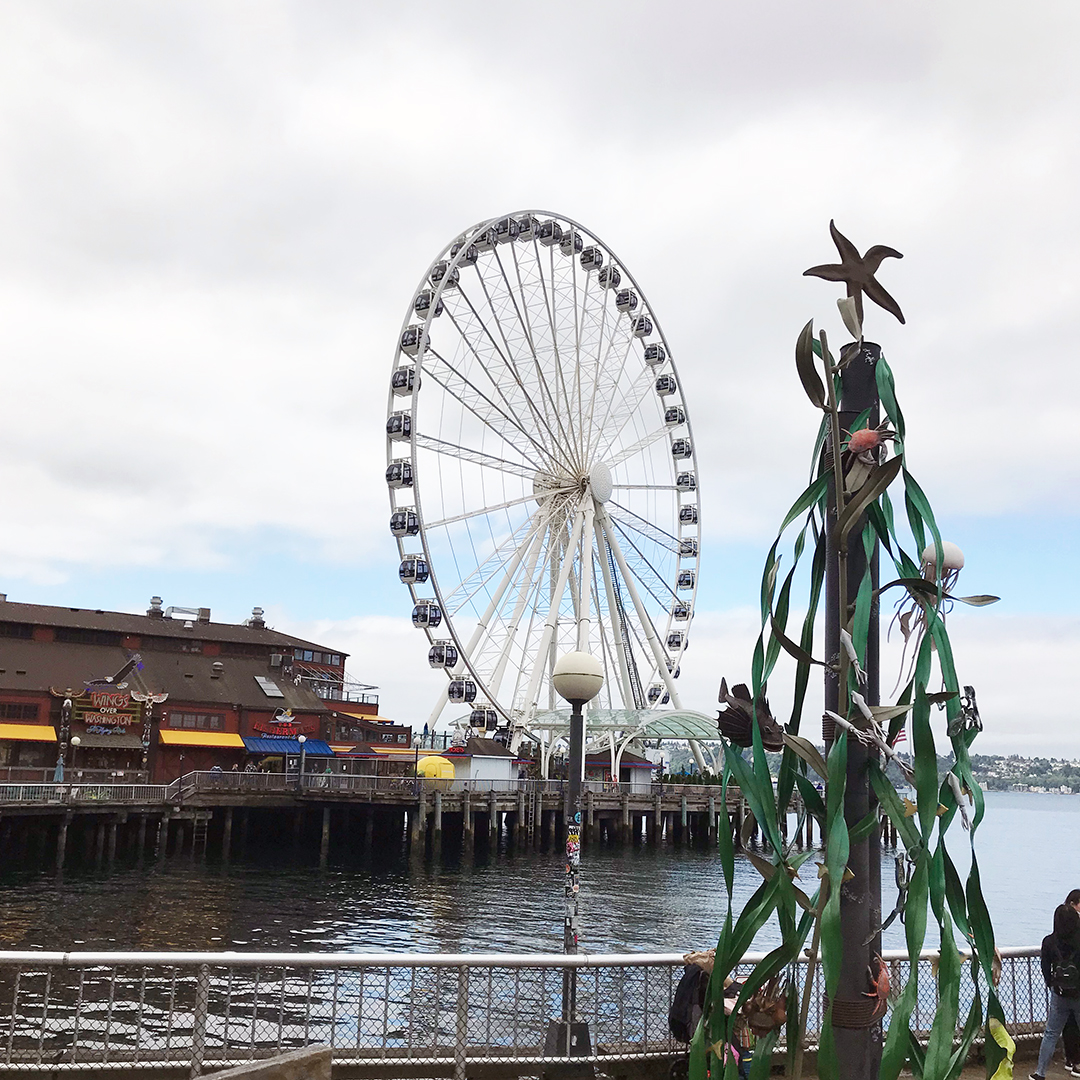 things to do in seattle with kid
