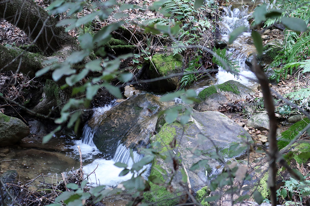 castle rock hiking trail saratoga