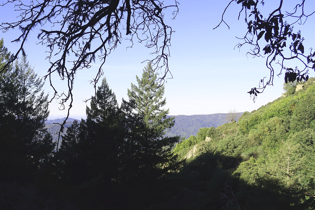 castle rocks falls trail