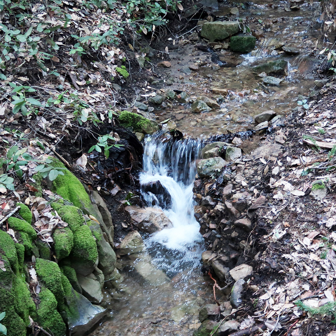 hiking trails santa clara county