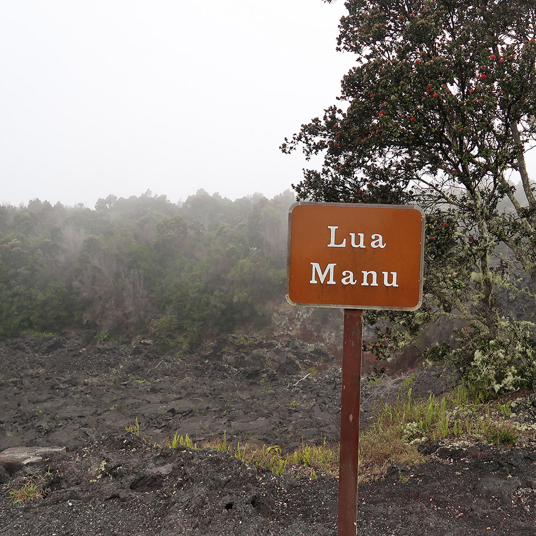 hawaii volcanoes national park drive tour