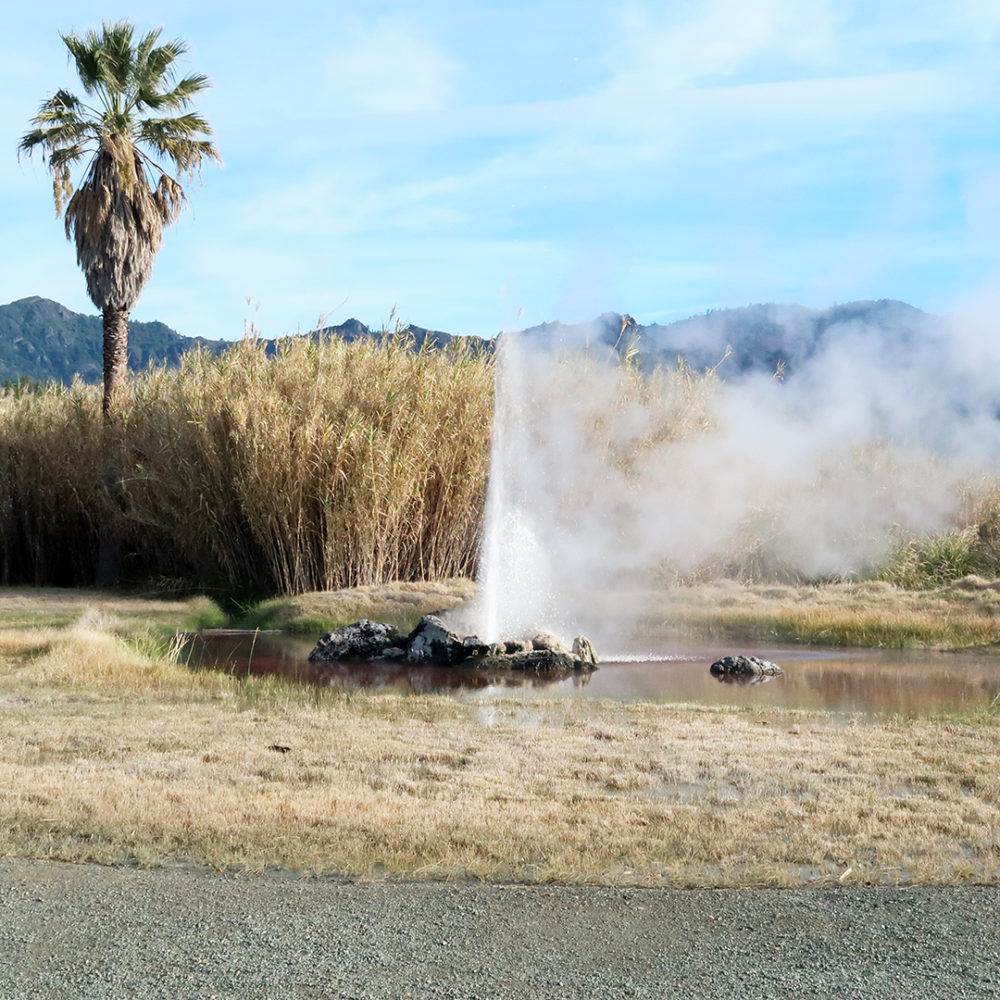 Old Faithful Geyser Calistoga Bay Area Fashionista