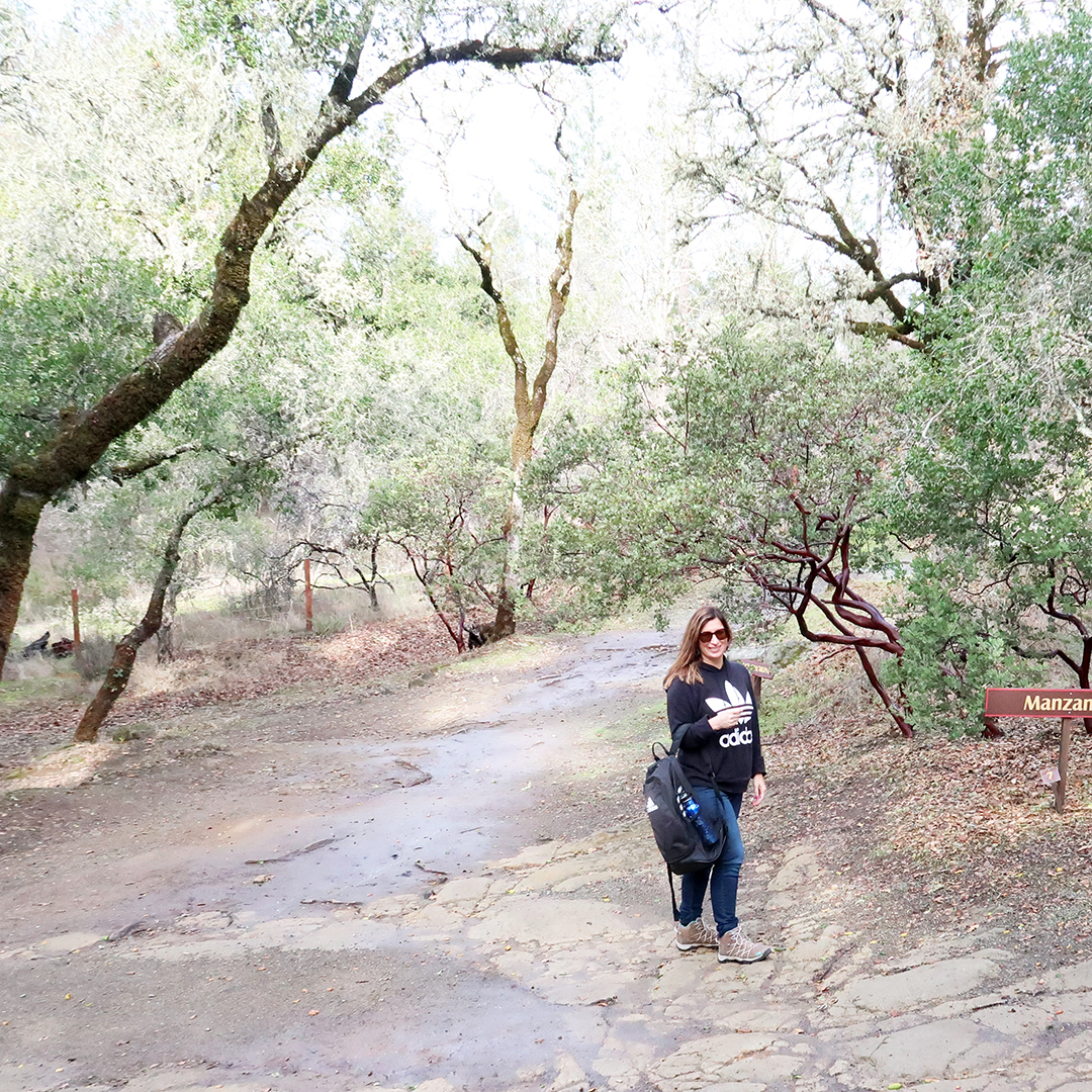 hiking trails calistoga