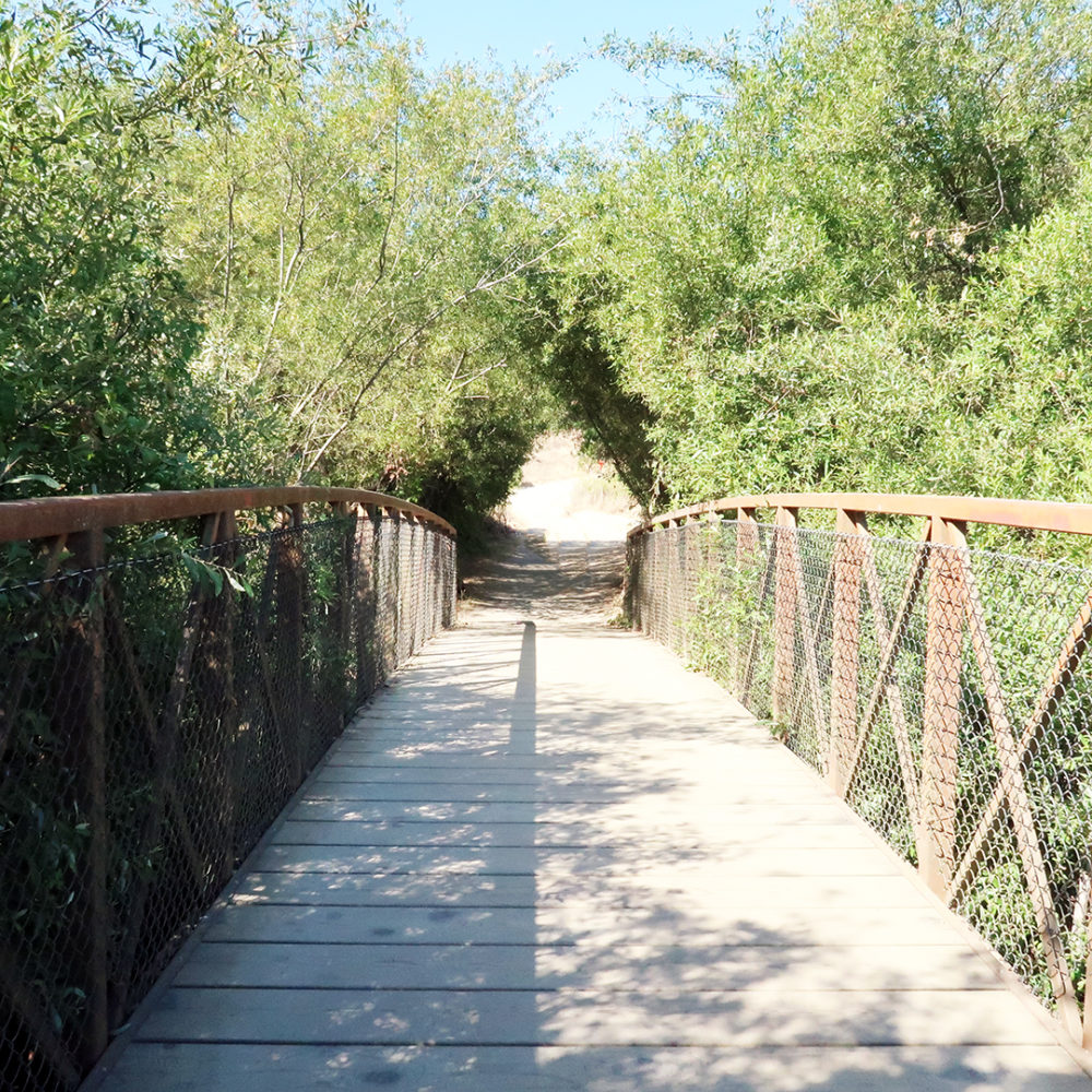 Rancho San Antonio County Park hiking trails in Cupertino Bay Area