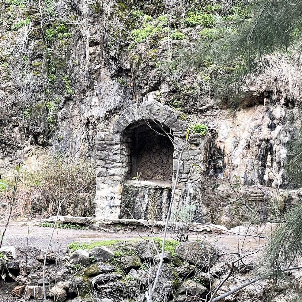 Alum Rock Park hiking trails Bay Area Fashionista