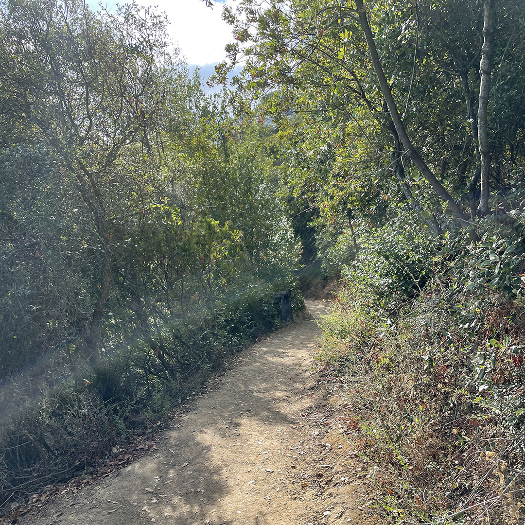 hiking trails saratoga california