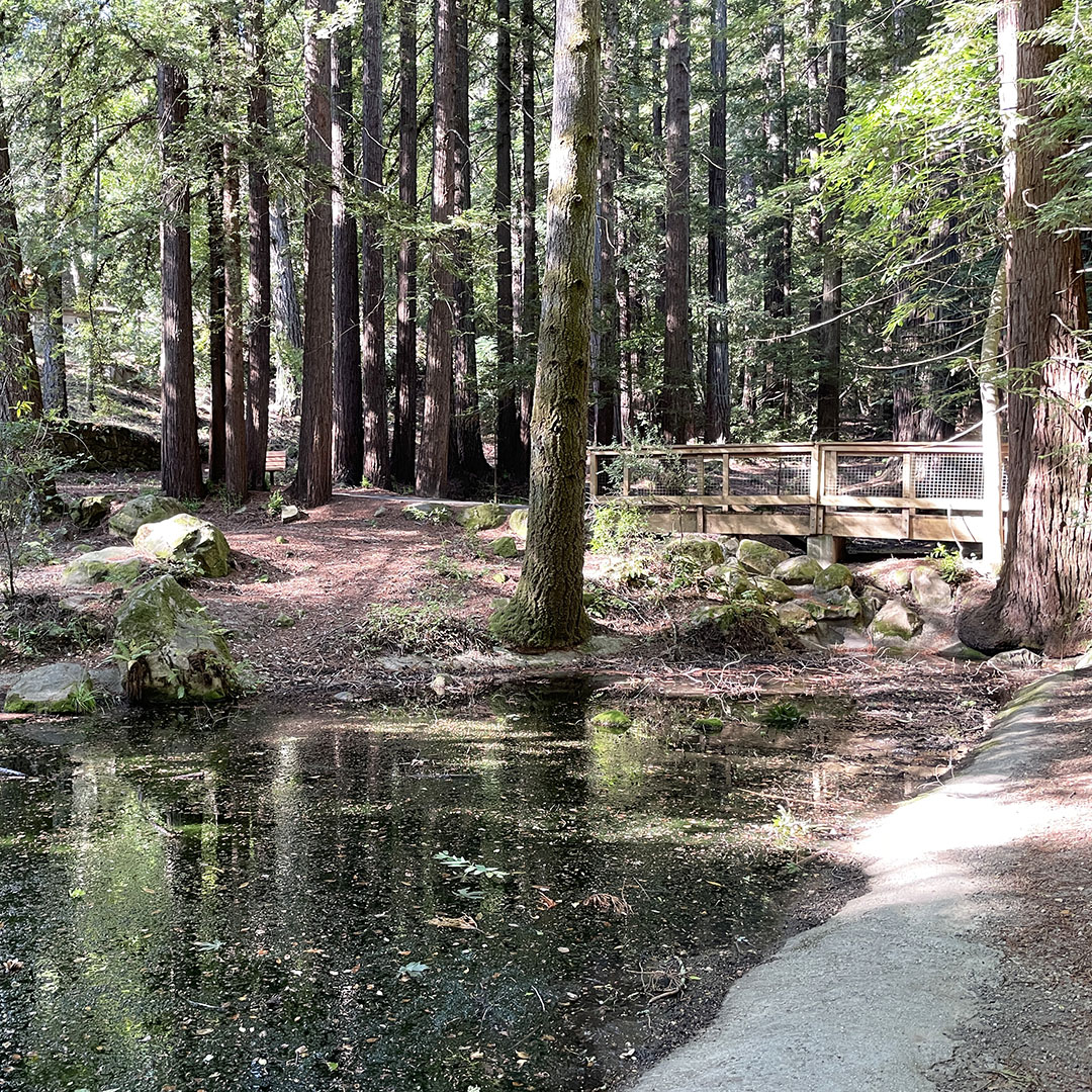 sanborn park hiking trails