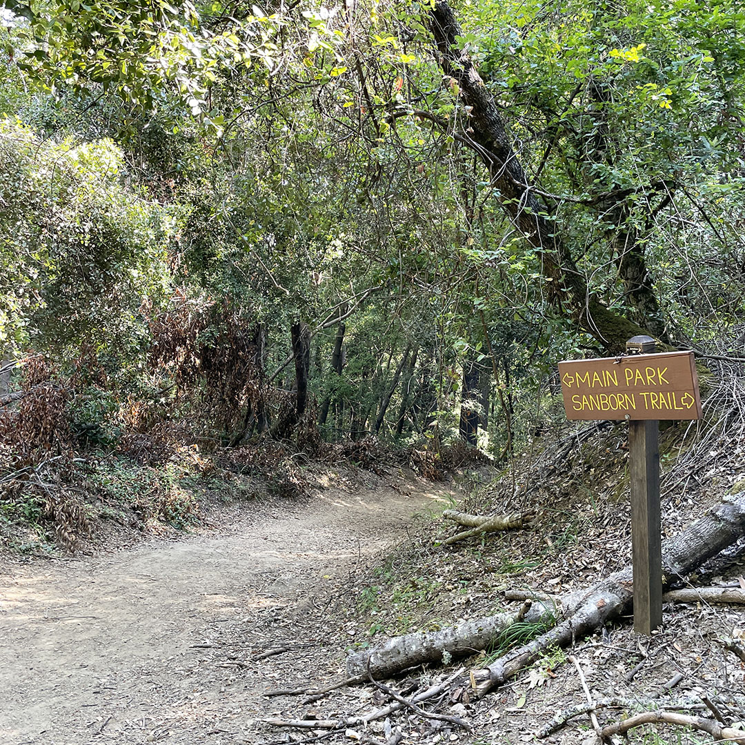 sanborn park hiking trails