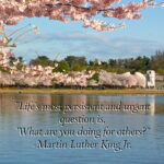 Martin Luther King Jr Day 2025 mlk day 2025
