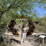 Arizona Sonora Desert Museum bees desert museum
