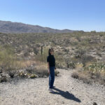 Saguaro National Park cactus drive saguaro national forest path