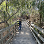 Visiting the butterflies casual fall hiking