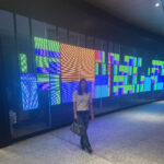 netapp lights santana row